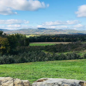 Meet your Posher, Isabella